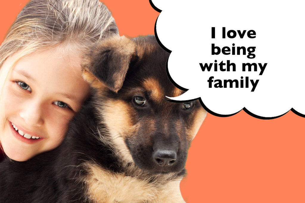 Young girl cuddling a German Shepherd with a speech bubble that says 'I love being with my family'.