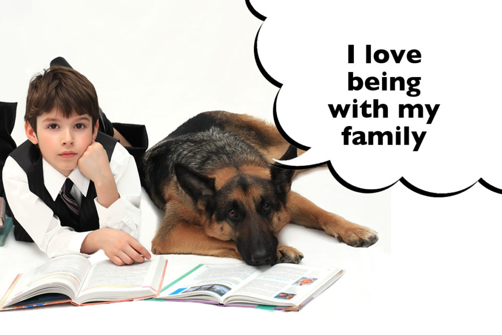 German Shepherd laying on the floor with a young boy with a speech bubble that says 'I love being with my family'.