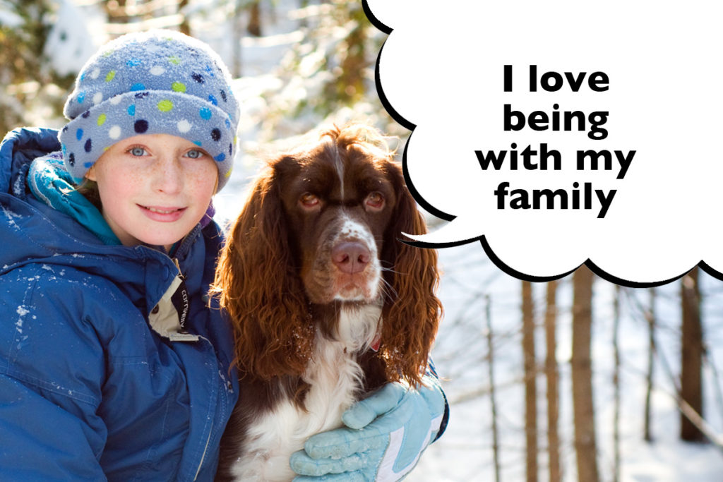 Little boy hugging his Springer Spaniel outside in the snow with a speech bubble that says 'I love being with my family'