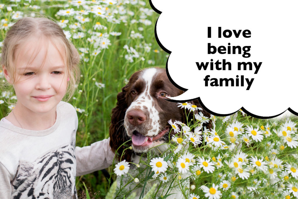Little girl with her Springer Spaniel outside in the grass with a speech bubble that says 'I love being with my family'