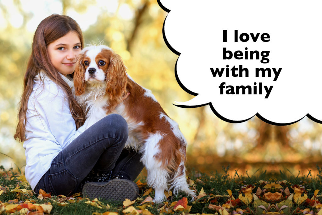 Girl sat down outside on the grass hugging her Cavalier King Charles Spaniel with a speech bubble that says 'I love being with my family'