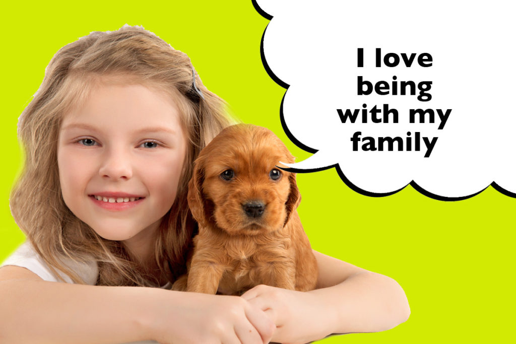 Little girl with her Cocker Spaniel puppy on a bright green background with a speech bubble that says 'I love being with my family'